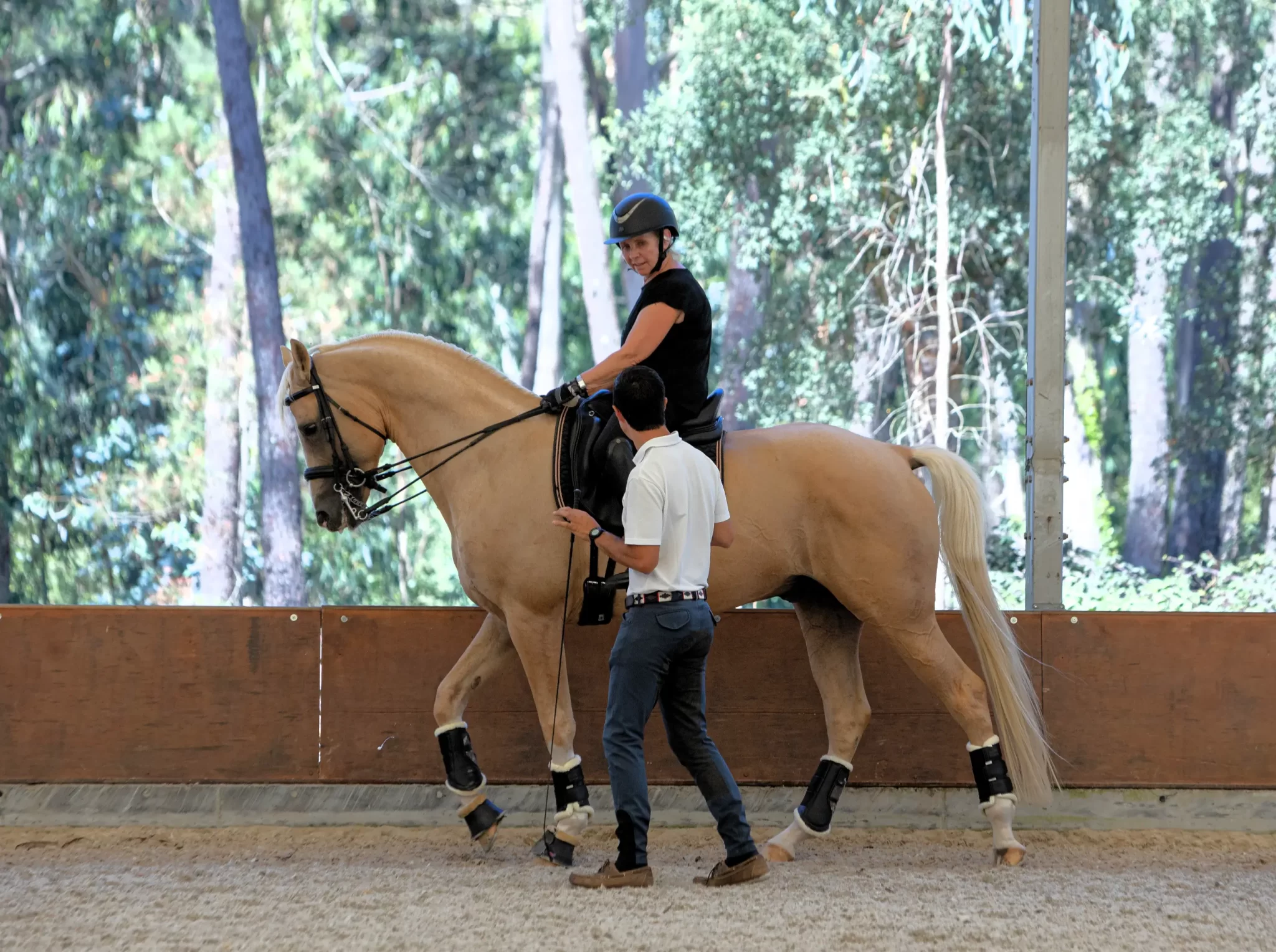Escola de Equitação 1