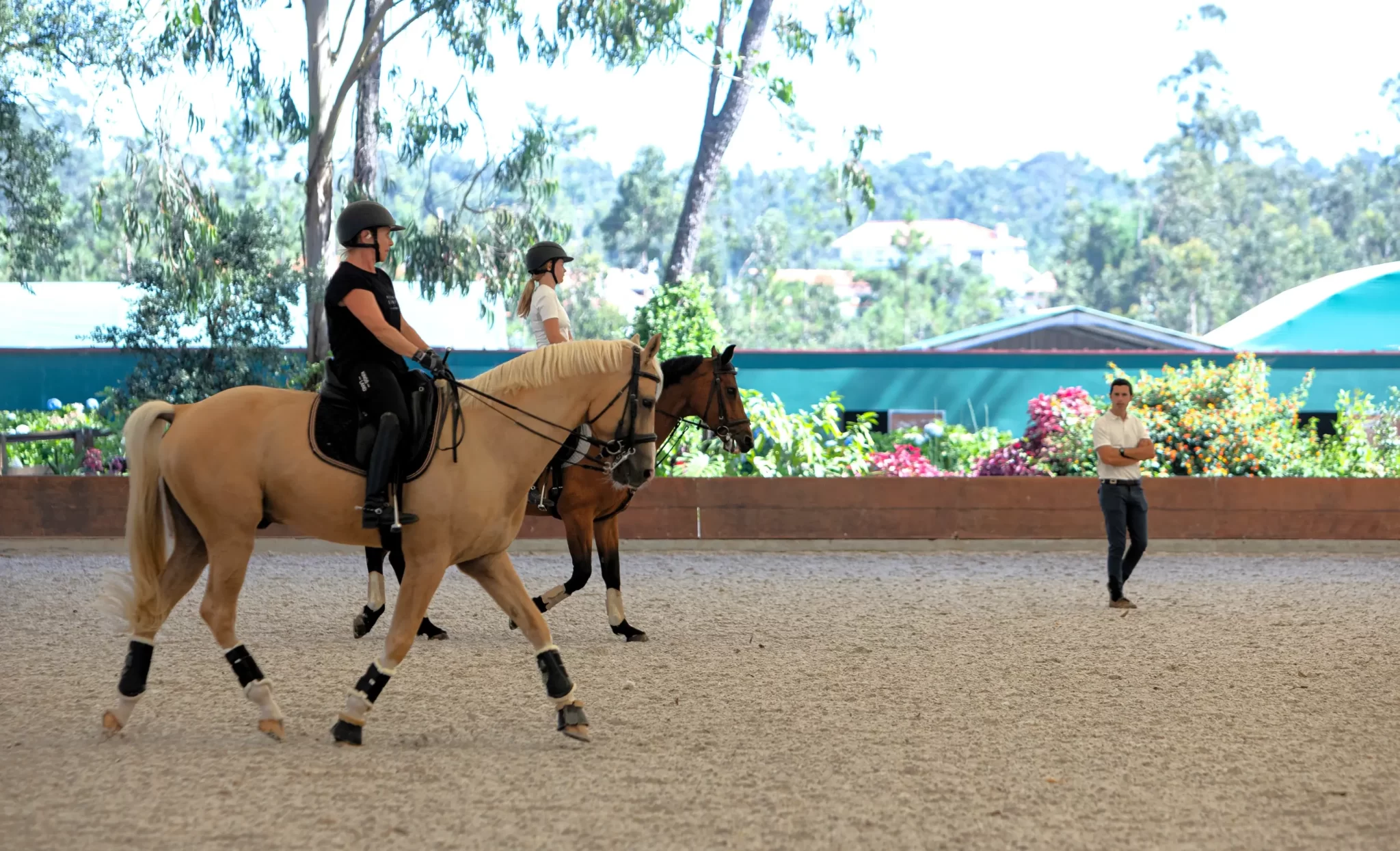 Escola de Equitação 2