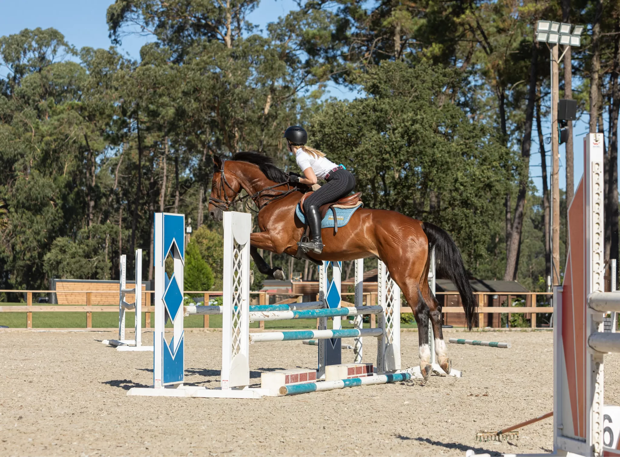 Escola de Equitação 3
