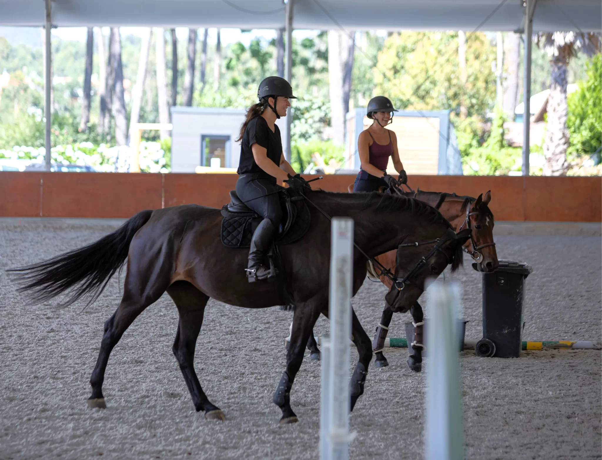 Escola de Equitação 8